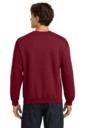 Back model photo