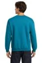 Back model photo