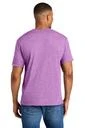 Back model photo