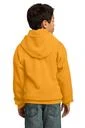 Back model photo
