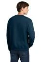 Back model photo