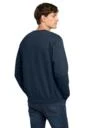 Back model photo
